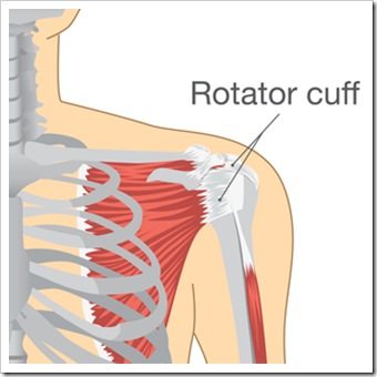 Shoulder Pain Pooler GA Rotator Cuff Injury