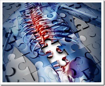 Chronic Spinal Pain Pooler