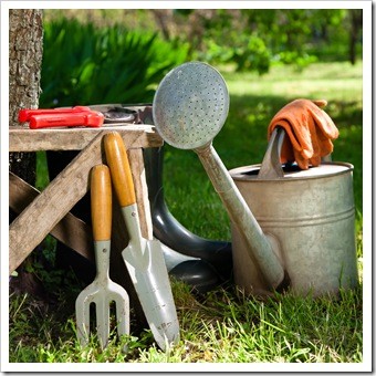 Spinal Health Gardening Pooler GA