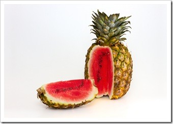 Pooler GA Food Safety GMO